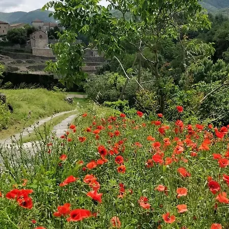 Holiday home Maisonette En Cevennes Notre-Dame-de-la-Rouviere